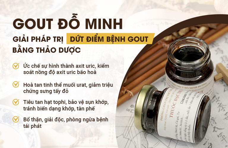 Điều trj dứt điểm bệnh gout bằng thảo dược mang lại hiệu quả chuyên sâu