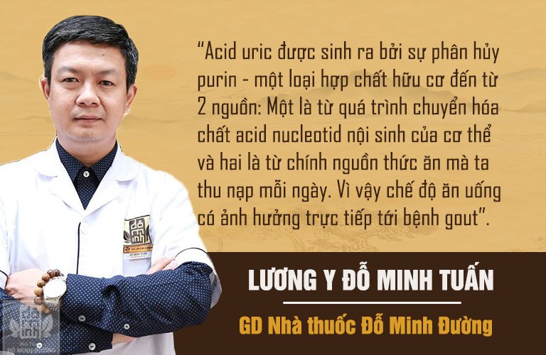 Lương y Đỗ Minh Tuấn lý giải về tầm quan trọng của việc ăn uống với bệnh gout Lương y Đỗ Minh Tuấn lý giải về tầm quan trọng của việc ăn uống với bệnh gout