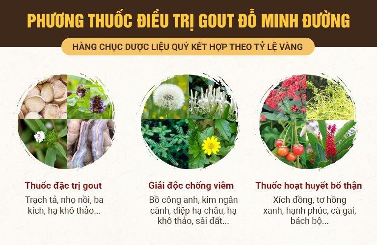 Một số thảo dược chính có trong bài thuốc Gout Đỗ Minh