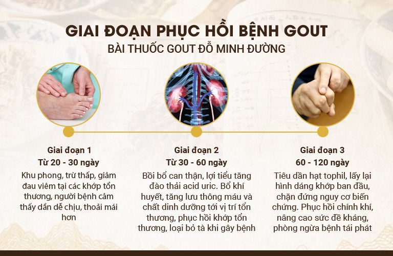 Giai đoạn hồi phục sau khi sử dụng bài thuốc Gout Đỗ Minh