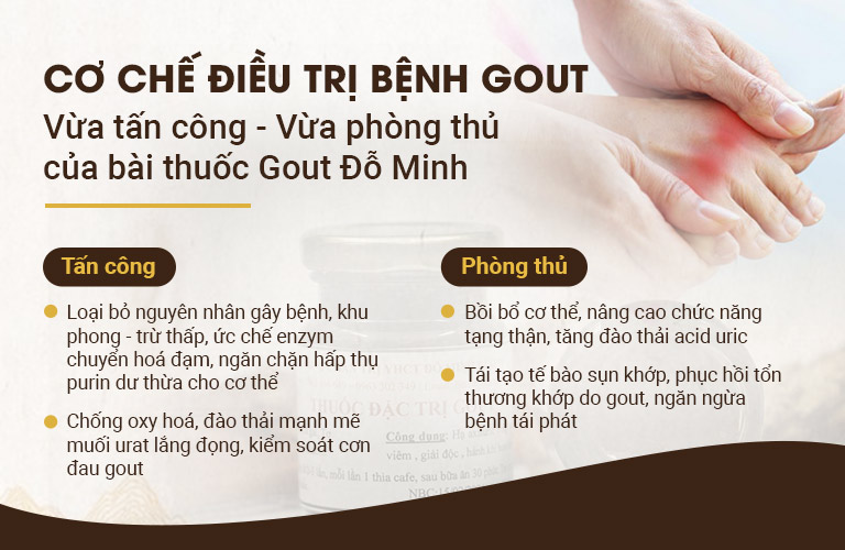 Cơ chế điều trị bệnh gout vừa tấn công - vừa phòng thủ Cơ chế điều trị bệnh gout vừa tấn công - vừa phòng thủ