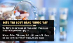 Sử dụng thuốc tây mang lại hiệu quả giảm đau nhanh chóng nhưng dễ gây ra tác dụng phụ