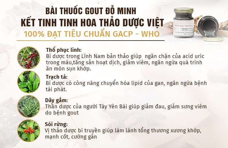 Thành phần thảo dược bài thuốc Gout Đỗ Minh