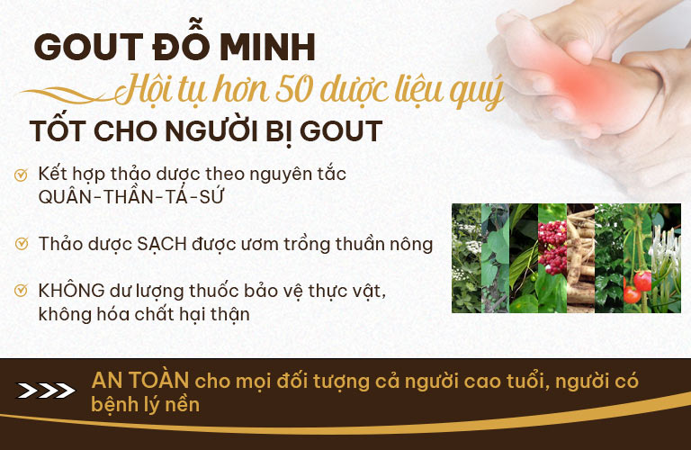 Thành phần thuốc gout của Đỗ Minh Đường 