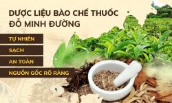 Bài thuốc sử dụng thảo dược sạch đạt chuẩn của Bộ Y tế