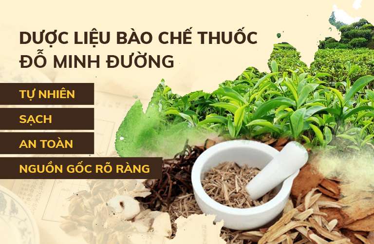 Bài thuốc sử dụng thảo dược sạch đạt chuẩn của Bộ Y tế