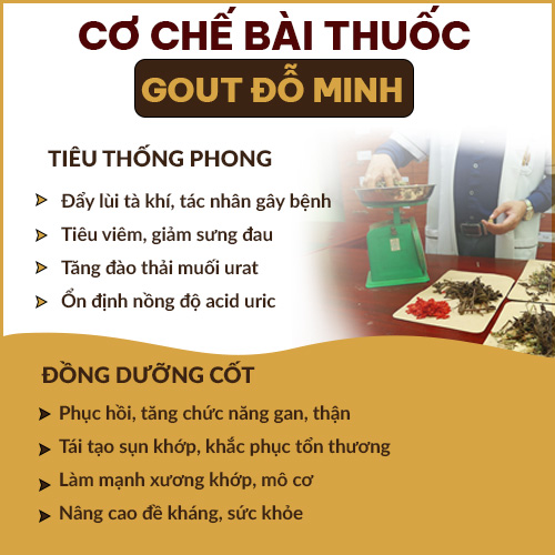 Cơ chế bài thuốc gout Đỗ Minh