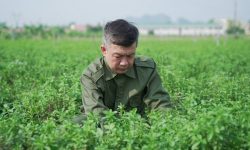 Thảo dược của Đỗ Minh Đường nguồn gốc rõ ràng