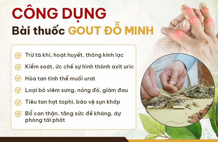 Công dụng thuốc gout Đỗ Minh