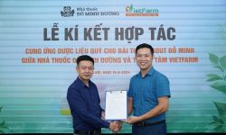 Ký kết dược liệu bài thuốc Gout Đỗ Minh