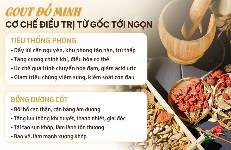 Cơ chế bài thuốc Gout Đỗ Minh
